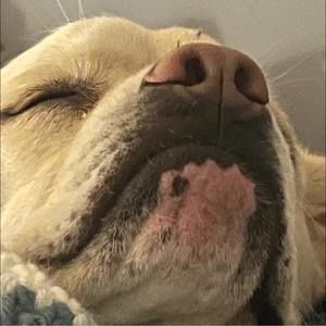 Meet your Posher, Jodi